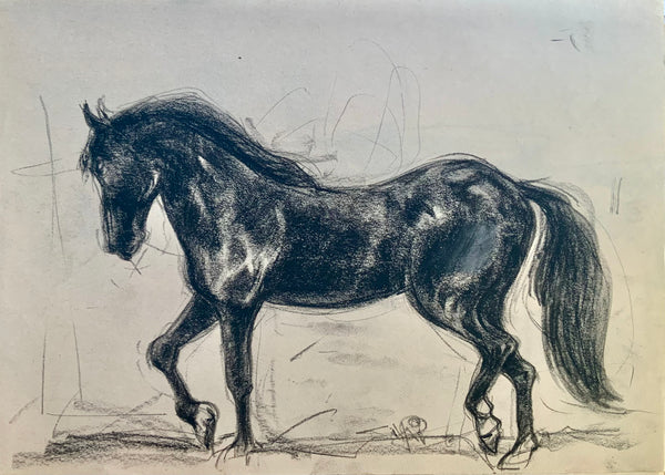 Equestrian Delight